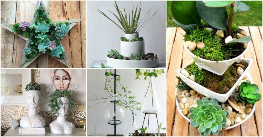 Creative Planter Ideas To Cheer Up Your Home