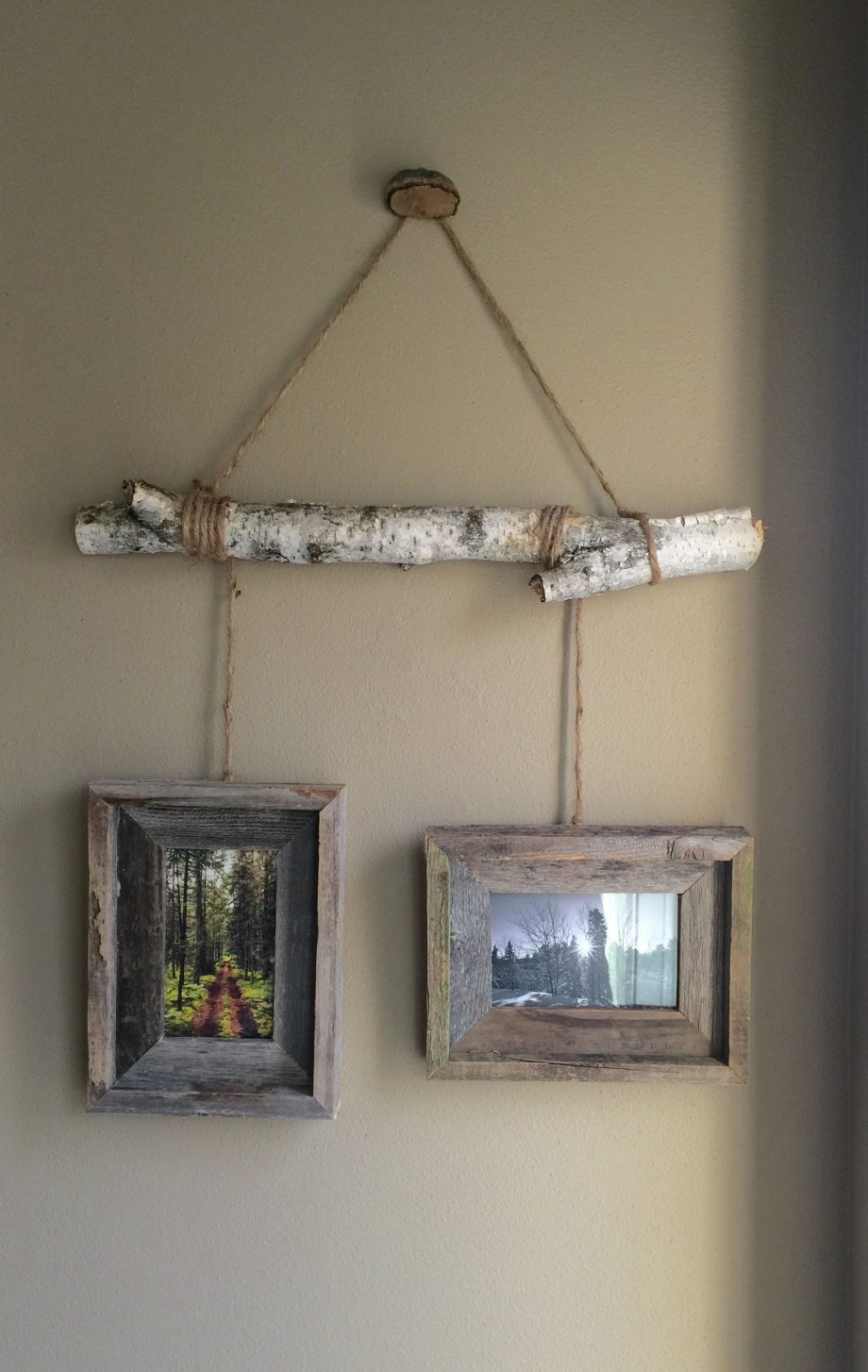 Cheap DIY Branch Decor Ideas For Any Home Page 2 Of 2   Branch Decor 9 920x1454 