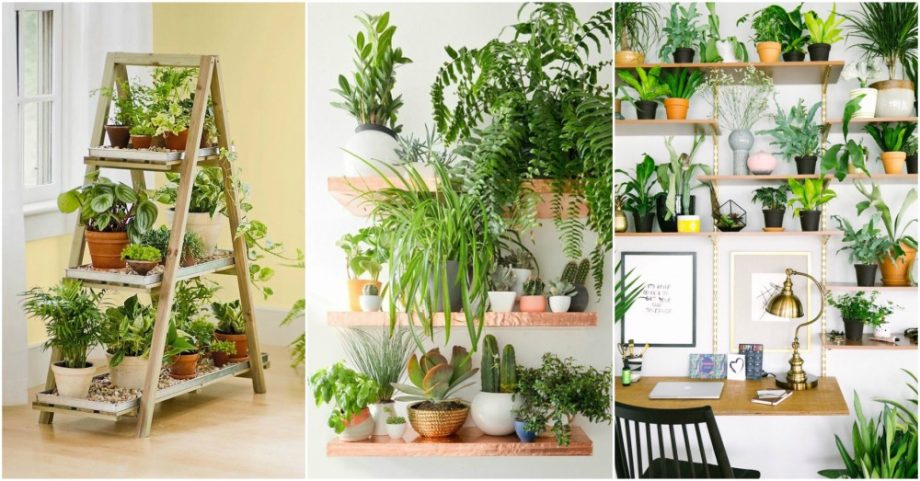 Indoor Plant Styling Tips To Create Your Own  Green Corner