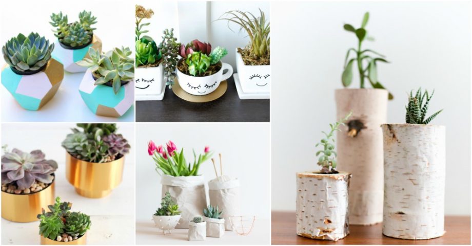 Small Planter Ideas That Are Absolutely Adorable
