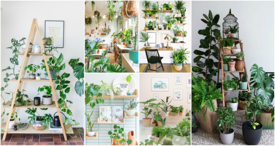 Indoor Garden Ideas For Nature Lovers Trapped In The Concrete Jungle