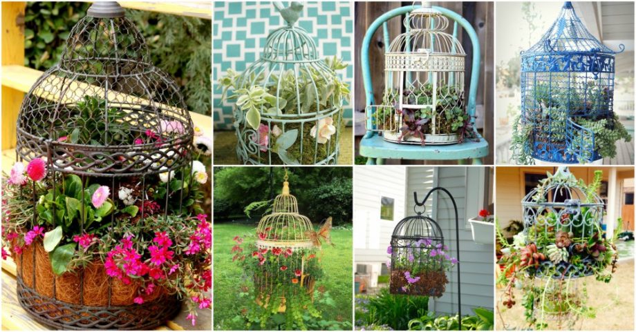 Cage Planters Are Spectacular Decor For Your Garden