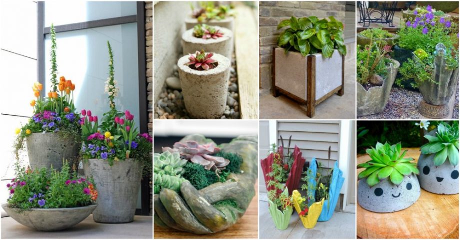 DIY Concrete Planters That You Can Easily Make For Your Garden