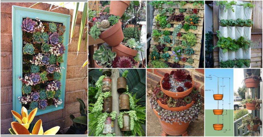 Vertical Garden Ideas That You Can DIY