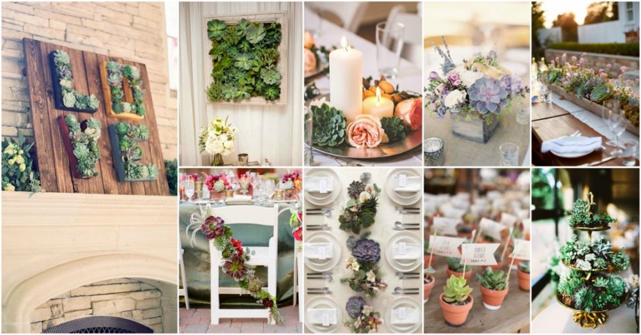 20 Wedding Succulent Decor Ideas That Look Spectacular