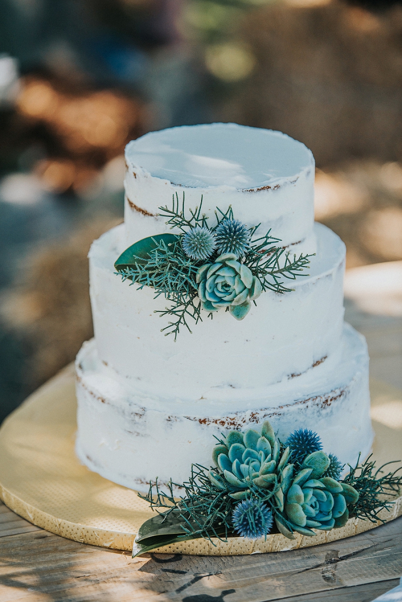Stunning Succulent Wedding Cakes Inspired By Nature Page 2 of 3