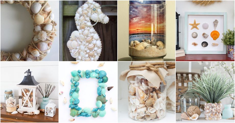 How To Clean Seashells And Prepare Them For DIY Shell Decor