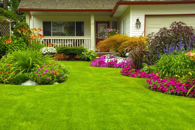 List of Garden Designs that a Garden Design Service Provider can Offer