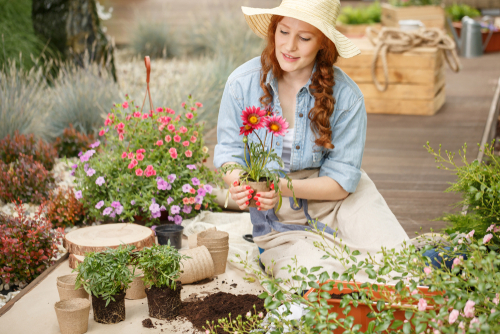 6 Cheap DIY Backyard Tips to Do This Summer