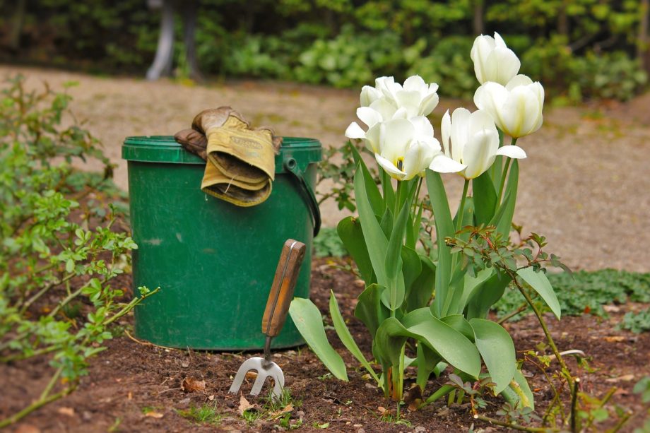 The Best Tools to Take the Hassle out of Gardening