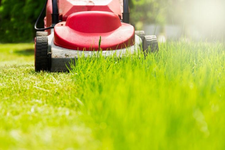 Critical Lawn Chores You Don’t Really Understand